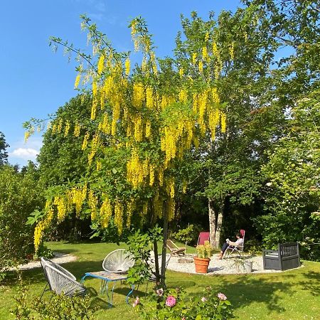 La Caillerie Bed & Breakfast Chauvé Dış mekan fotoğraf