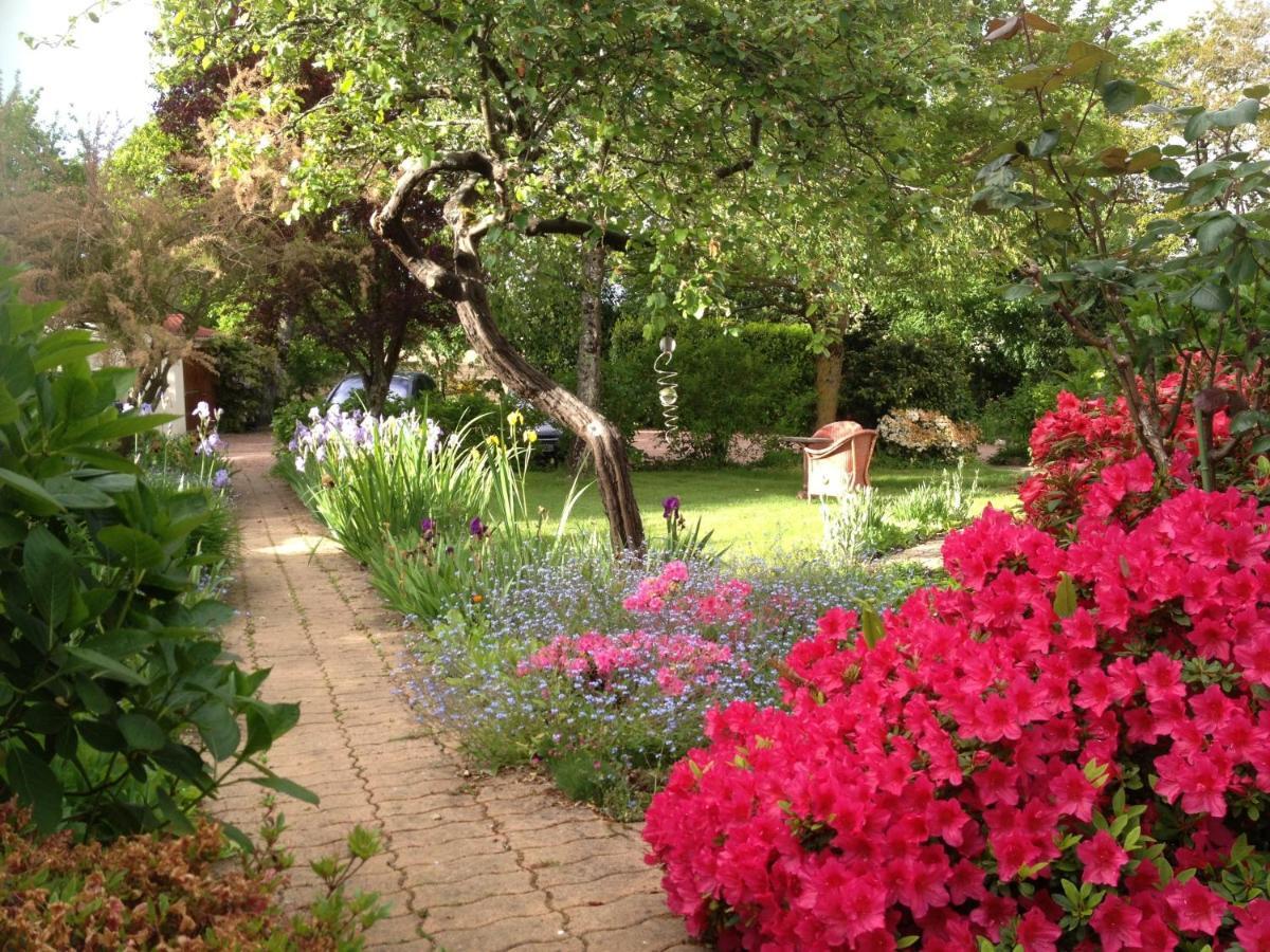La Caillerie Bed & Breakfast Chauvé Dış mekan fotoğraf